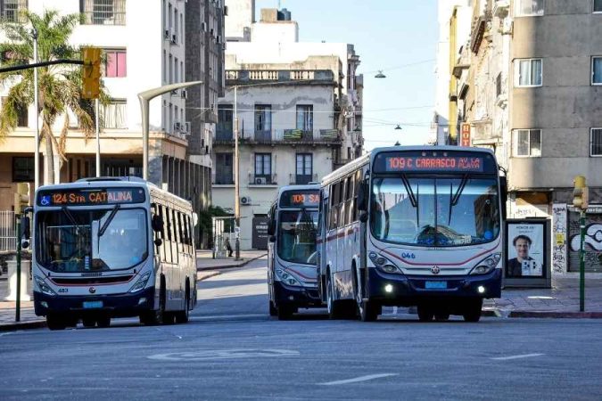 Plusieurs bus de ville circulent dans une rue urbaine, illustrant l'efficacité du réseau de transports en commun.